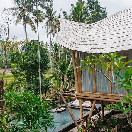 Wadari Retreat Villa Ubud Exteriér fotografie