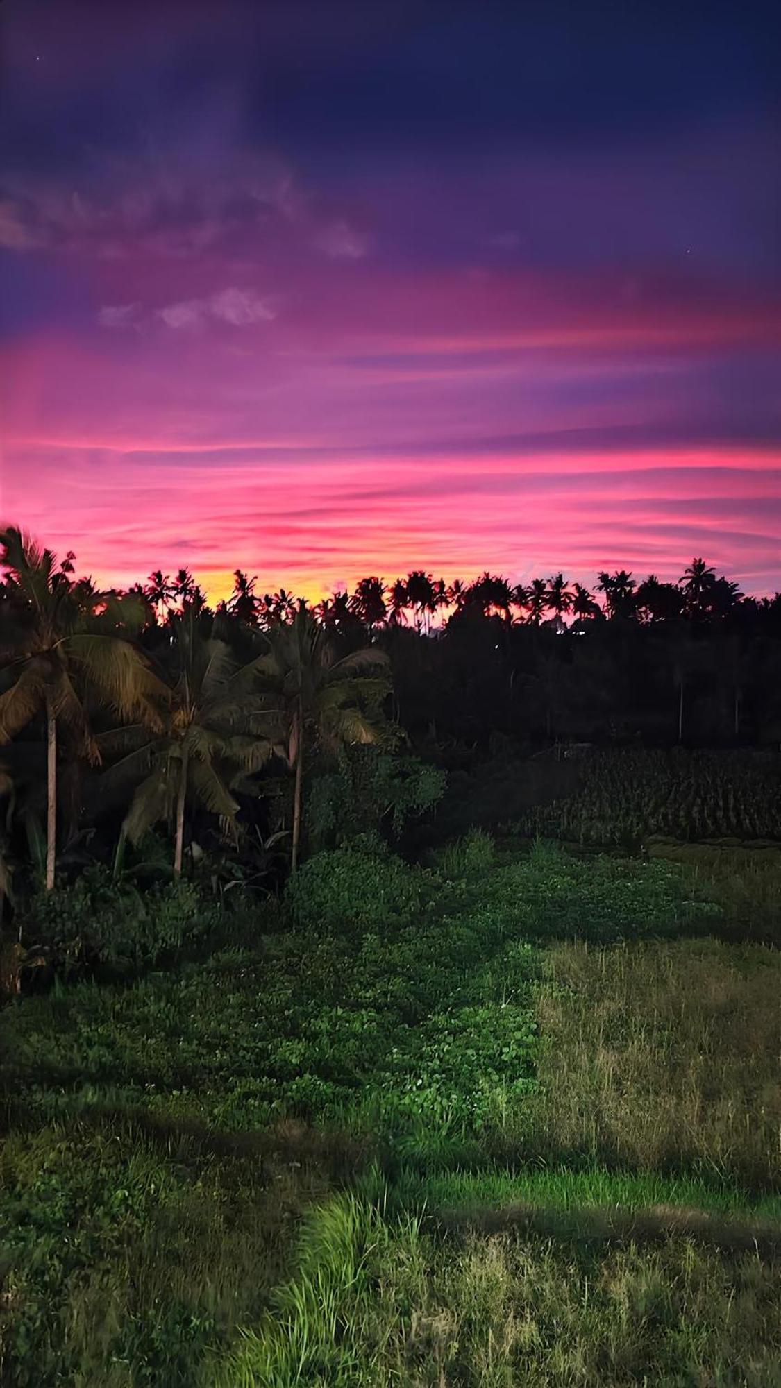 Wadari Retreat Villa Ubud Exteriér fotografie