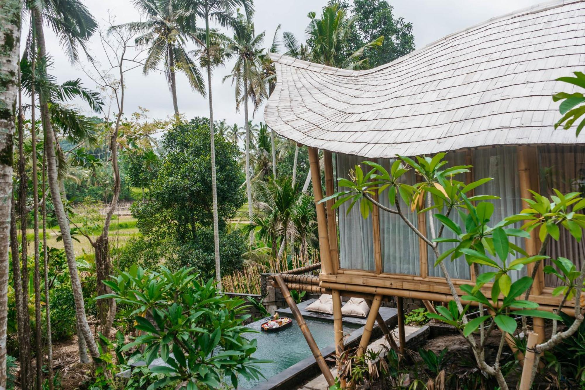 Wadari Retreat Villa Ubud Exteriér fotografie